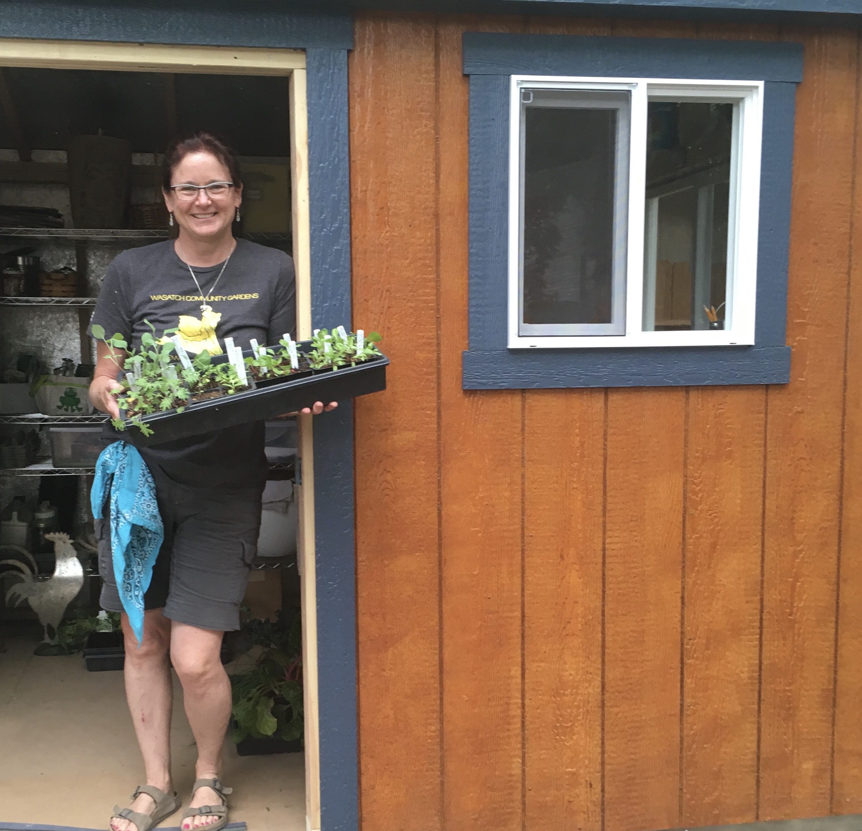 Mb with flat of seedlings by orange shed