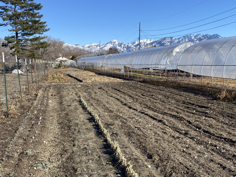 Wasatch Community Gardens and Utah Open Lands Secure Forever Farm Hub