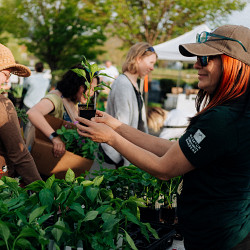 Wasatch Community Gardens' Spring Plant Sale Takes Place Saturday, May 11